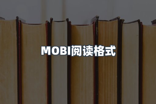 EPUB电子书
